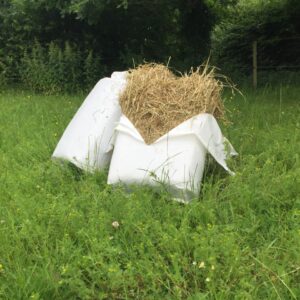 Kunsttørret Havre hø i pose, 12 kg - Hest