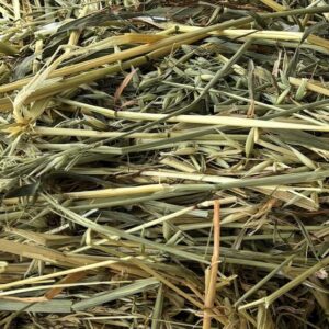 Kunsttørret Havre hø i pose, 12 kg - Hest